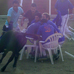 foto de los novillos
